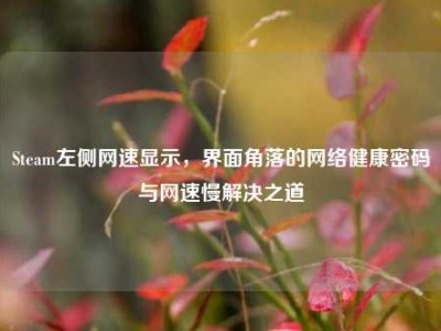 Steam左侧网速显示，界面角落的网络健康密码与网速慢解决之道