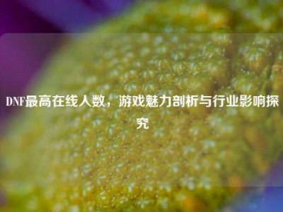 DNF最高在线人数，游戏魅力剖析与行业影响探究