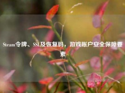 Steam令牌、SSL及恢复码，游戏账户安全保障要素