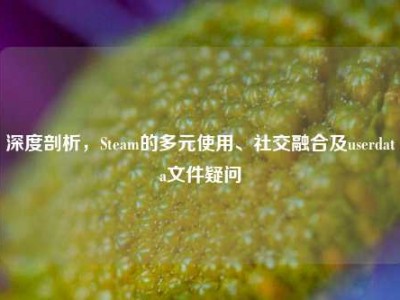 深度剖析，Steam的多元使用、社交融合及userdata文件疑问