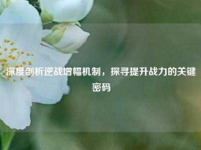 深度剖析逆战增幅机制，探寻提升战力的关键密码
