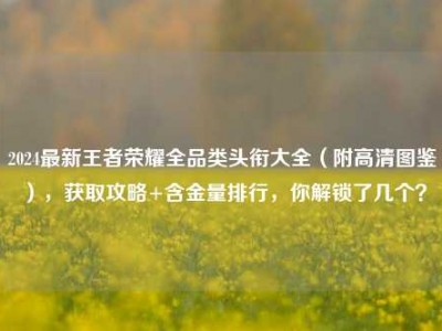 2024最新王者荣耀全品类头衔大全（附高清图鉴），获取攻略+含金量排行，你解锁了几个？