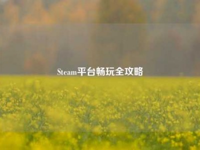 Steam平台畅玩全攻略