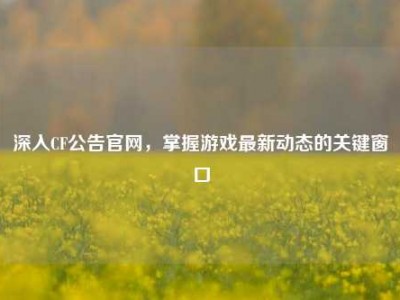 深入CF公告官网，掌握游戏最新动态的关键窗口