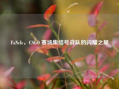 FaNcIc，CSGO 赛场集结号战队的闪耀之星