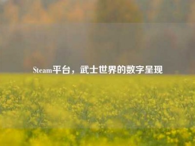 Steam平台，武士世界的数字呈现