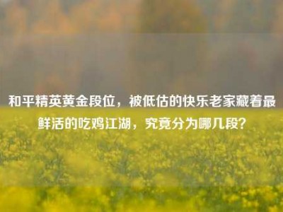 和平精英黄金段位，被低估的快乐老家藏着最鲜活的吃鸡江湖，究竟分为哪几段？