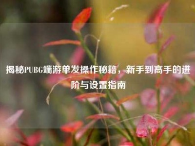 揭秘PUBG端游单发操作秘籍，新手到高手的进阶与设置指南