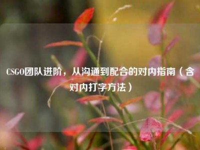 CSGO团队进阶，从沟通到配合的对内指南（含对内打字方法）