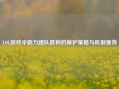 LOL游戏中助力团队胜利的保护策略与机制推荐