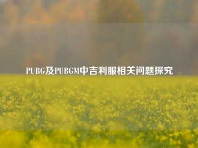 PUBG及PUBGM中吉利服相关问题探究