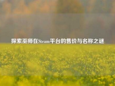 探索巫师在Steam平台的售价与名称之谜