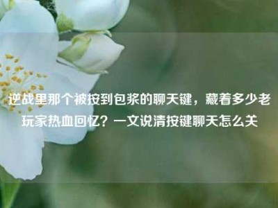 逆战里那个被按到包浆的聊天键，藏着多少老玩家热血回忆？一文说清按键聊天怎么关