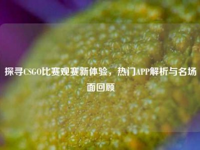 探寻CSGO比赛观赛新体验，热门APP解析与名场面回顾