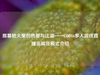 屏幕枪火里的热爱与江湖——COD16多人游戏直播见闻及模式介绍