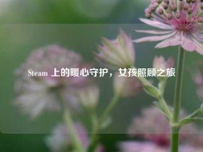 Steam 上的暖心守护，女孩照顾之旅