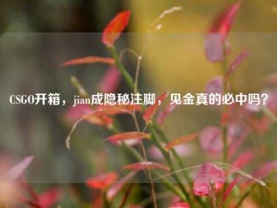 CSGO开箱，jian成隐秘注脚，见金真的必中吗？