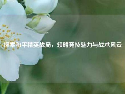 探索和平精英战局，领略竞技魅力与战术风云