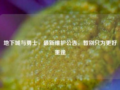 地下城与勇士，最新维护公告，暂别只为更好重逢
