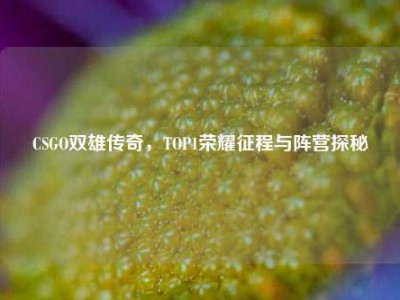 CSGO双雄传奇，TOP1荣耀征程与阵营探秘