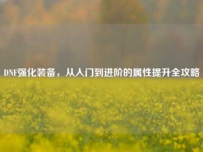 DNF强化装备，从入门到进阶的属性提升全攻略