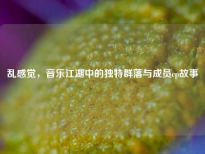 乱感觉，音乐江湖中的独特群落与成员cp故事