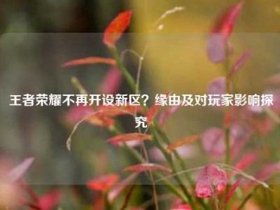 王者荣耀不再开设新区？缘由及对玩家影响探究