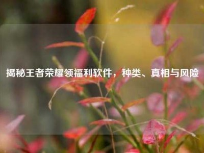 揭秘王者荣耀领福利软件，种类、真相与风险