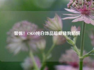 警惕！CSGO纯白饰品暗藏赌狗陷阱