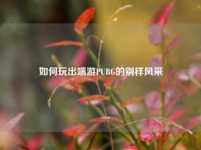 如何玩出端游PUBG的别样风采