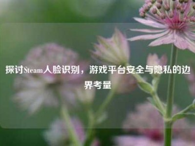 探讨Steam人脸识别，游戏平台安全与隐私的边界考量