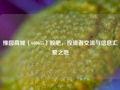豫园商城（600655）股吧，投资者交流与信息汇聚之地