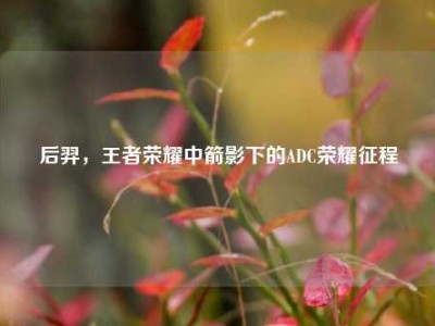 后羿，王者荣耀中箭影下的ADC荣耀征程