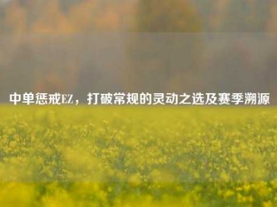 中单惩戒EZ，打破常规的灵动之选及赛季溯源