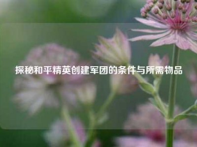 探秘和平精英创建军团的条件与所需物品