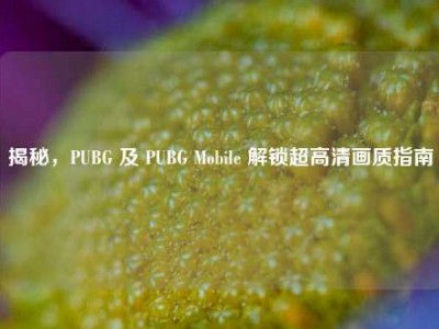揭秘，PUBG 及 PUBG Mobile 解锁超高清画质指南