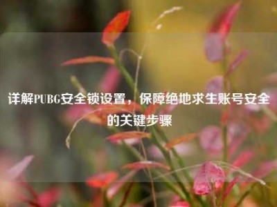 详解PUBG安全锁设置，保障绝地求生账号安全的关键步骤