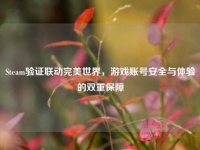 Steam验证联动完美世界，游戏账号安全与体验的双重保障