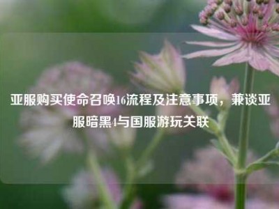亚服购买使命召唤16流程及注意事项，兼谈亚服暗黑4与国服游玩关联