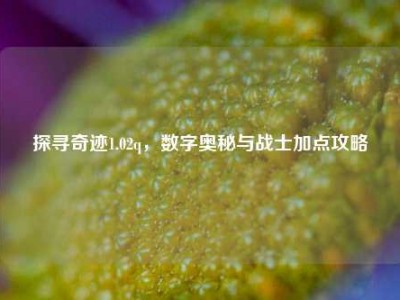 探寻奇迹1.02q，数字奥秘与战士加点攻略