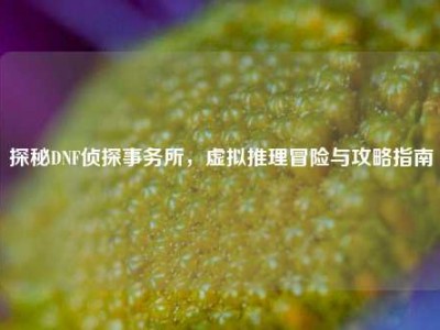 探秘DNF侦探事务所，虚拟推理冒险与攻略指南