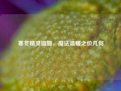 寒冬精灵璐璐，魔法温暖之价几何