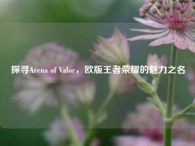 探寻Arena of Valor，欧版王者荣耀的魅力之名