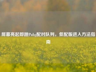 屏幕亮起即跳Pubg配对队列，低配版进入方法指南