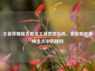 王者荣耀能否看见王者营地在线，紧密相连游戏生态中的疑问