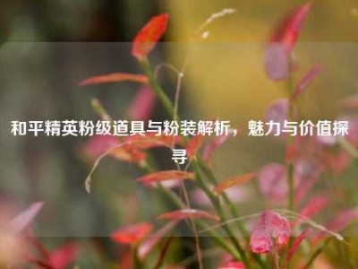 和平精英粉级道具与粉装解析，魅力与价值探寻