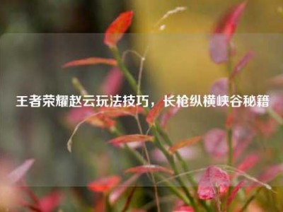 王者荣耀赵云玩法技巧，长枪纵横峡谷秘籍