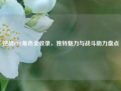 逆战PVE角色全收录，独特魅力与战斗助力盘点