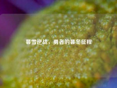 暮雪逆战，勇者的暮冬征程