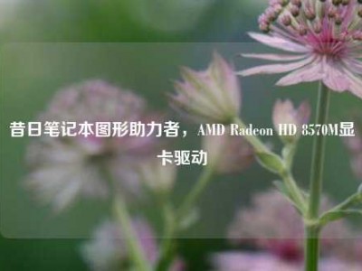 昔日笔记本图形助力者，AMD Radeon HD 8570M显卡驱动